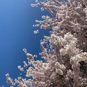 Any reasonable offer accepted from my closet and please feel free to bundle.